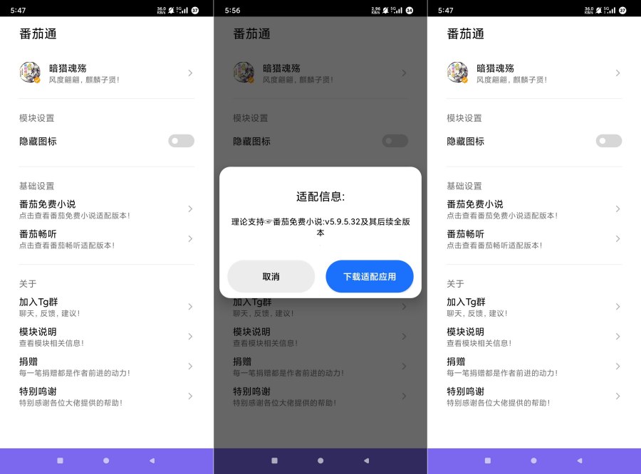 番茄通1.0.4番茄小说番茄畅听VIP解锁模块 番茄通1.0.4番茄小说番茄畅听VIP解锁模块
